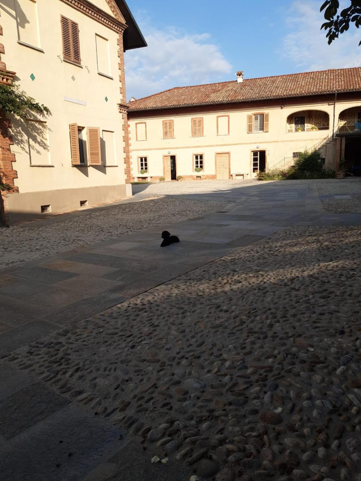 Tenuta Montanello B&B Castiglione Falletto Eksteriør billede