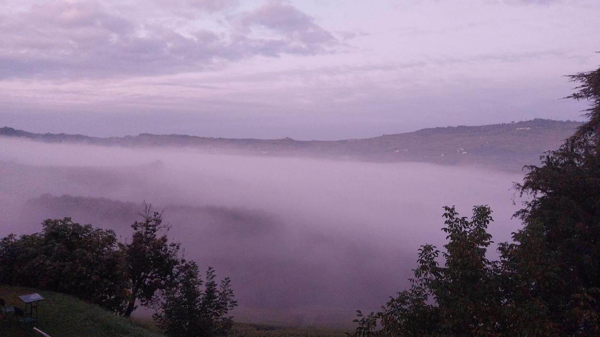Tenuta Montanello B&B Castiglione Falletto Eksteriør billede