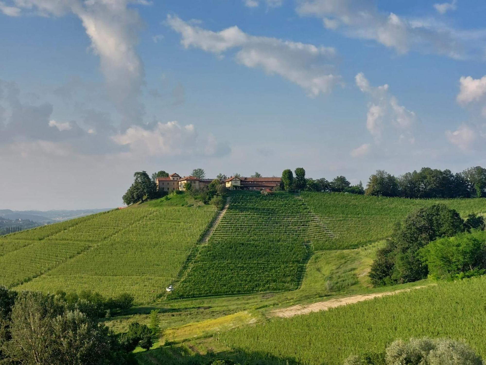 Tenuta Montanello B&B Castiglione Falletto Eksteriør billede