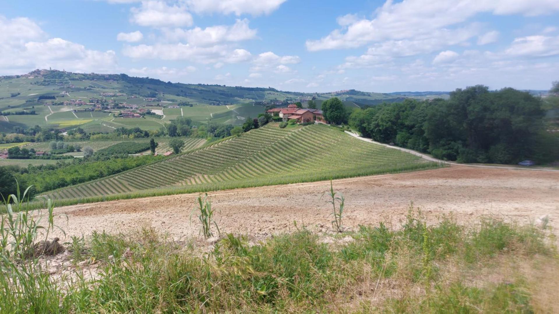 Tenuta Montanello B&B Castiglione Falletto Eksteriør billede
