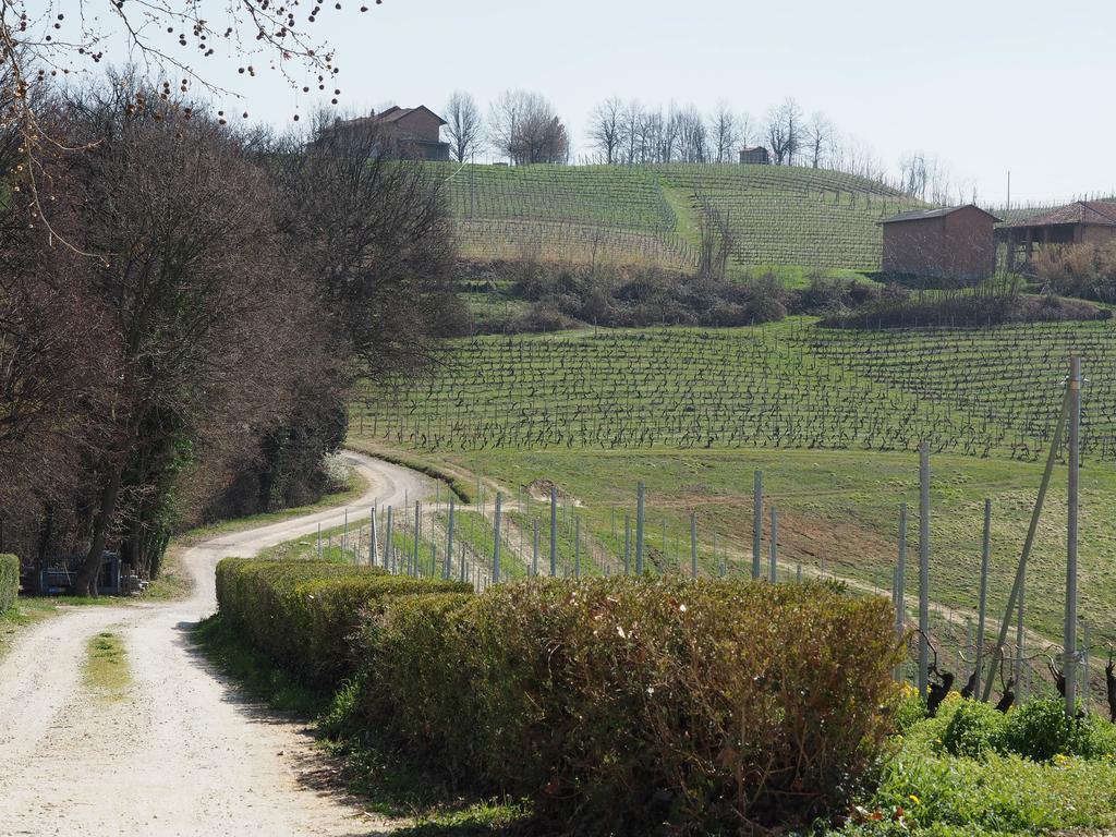 Tenuta Montanello B&B Castiglione Falletto Eksteriør billede